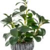 Artificial Plants Decor Greenery Fake Succulents Indoor Potted Fake Plant