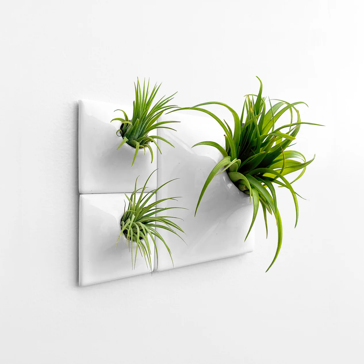Blue Ridge Decorative Wall Arrangement