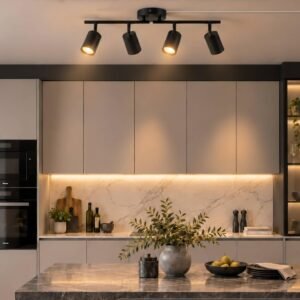 4-Light Adjustable LED Track Lighting Kit with Remote Control and Plug-In Design, Black